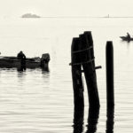 VENICE-3343_fx